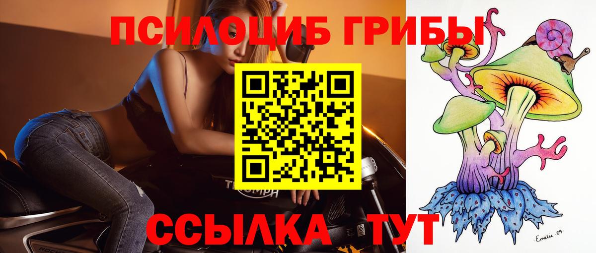 Артём  Галлюциногенные грибы GOLDEN TEACHER  Вход с VPN 